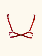 Load image into Gallery viewer, Olenska Underwire Bra