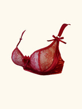 Load image into Gallery viewer, Olenska Underwire Bra